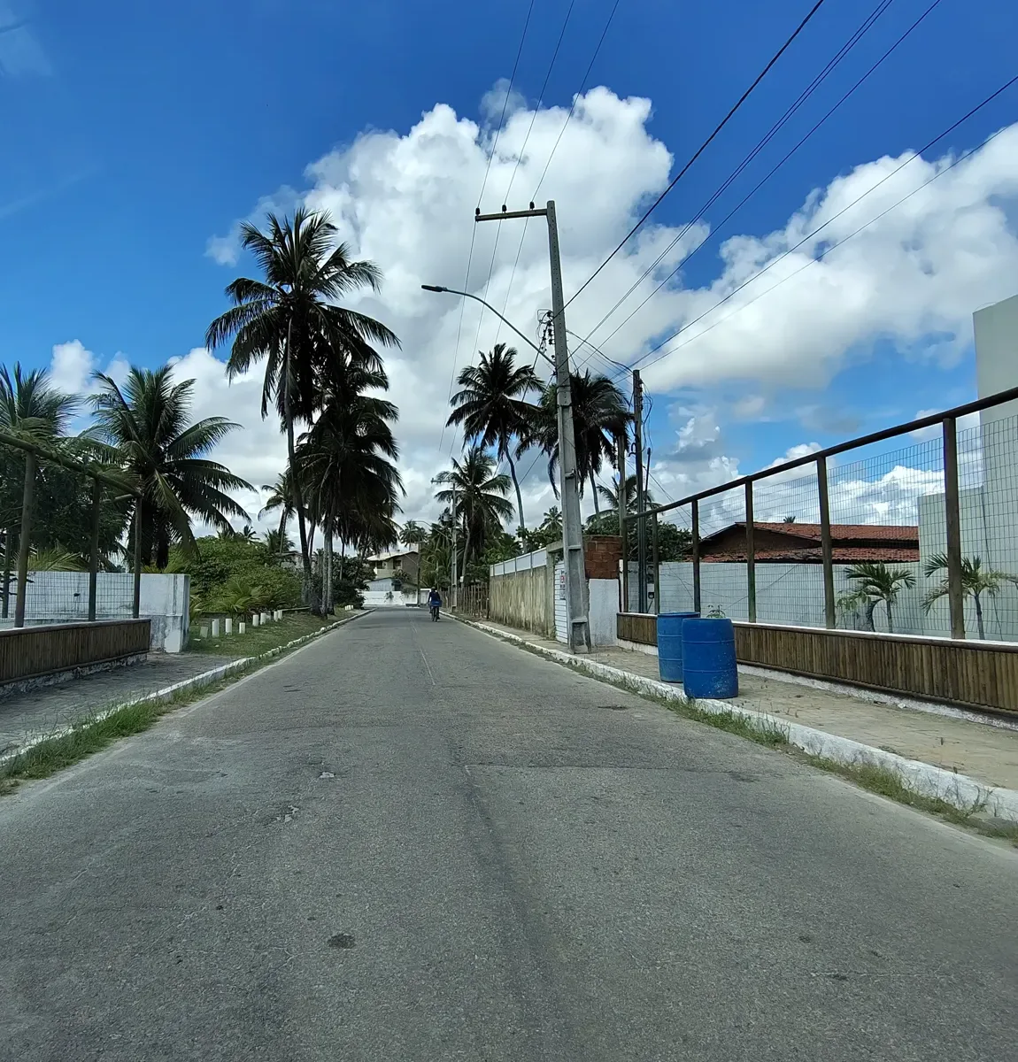 Rua pavimentada em Barra Nova, ladeada de coqueiros, sob céu azul